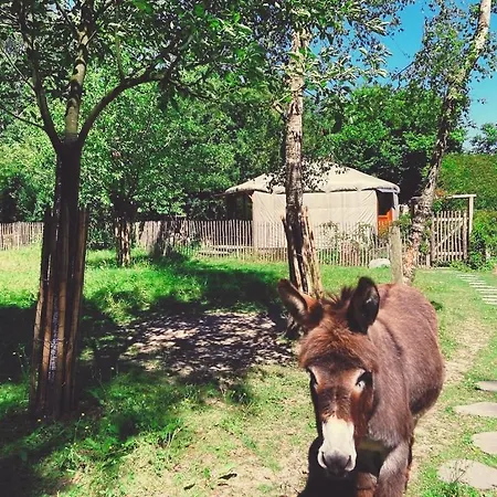 Campismo de Luxo La Yourte Du Verger D Hellebecq