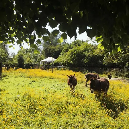 La Yourte Du Verger D Hellebecq Campismo de Luxo