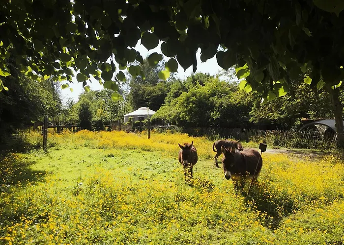 La Yourte Du Verger D Hellebecq Campismo de Luxo